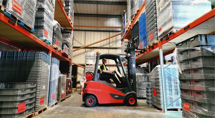 Go Plastic Pallets: Three Years of Strengthening Rotom's Plastic Portfolio
