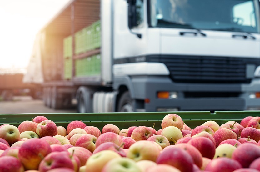 Keep your fruit and vegetables fresh with the proper logistics packaging