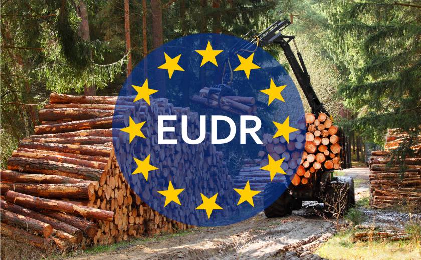 EUDR and its impact on the sustainable management of wood packaging