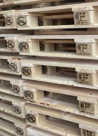 Master Guide to Pallet Markings: A Clear Framework for Logistics Professionals