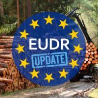 Update on the EUDR: Delayed implementation and simplified supply chain obligations