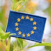 Rotom Strengthens Sustainable Logistics Amidst Global Supply Chain Challenges