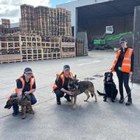 Supporting Trainee Police Dogs with Environmental Training