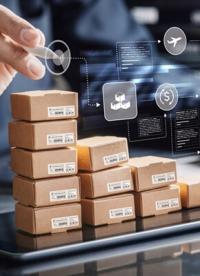 The Ultimate B2B Pallet Buying Guide: Choose the Right Pallet for Your Supply Chain