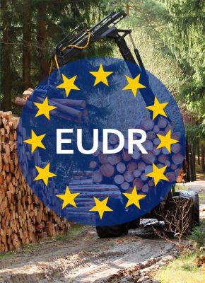 EUDR and its impact on the sustainable management of wood packaging