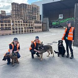 Supporting Trainee Police Dogs with Environmental Training