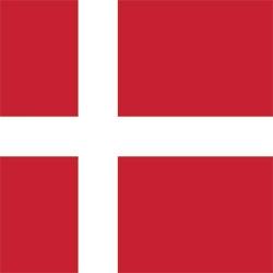 New branch in Denmark - The Rotom Group enters the Scandinavian market
