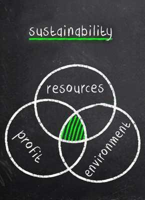 Learn 4 principles of sustainable packaging logistics
