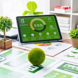 Why Rotom has a Sustainability Manager