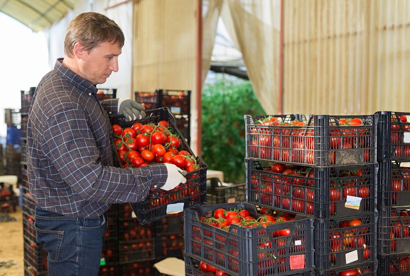 Folded plastic containers reduce transport costs.