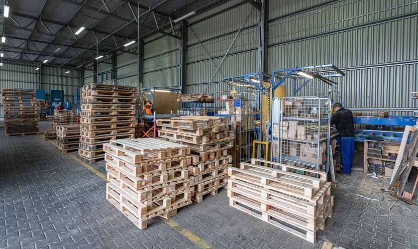 Repair of euro pallets in the factory hall.