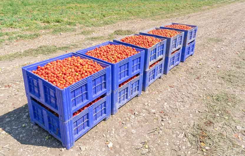 Take care of your crops learn about containers, carts and other