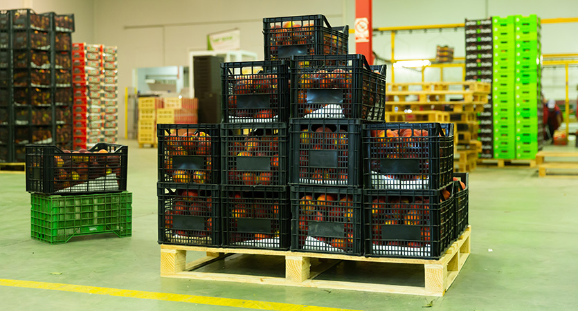 From Field to Retail: Optimising harvest logistics with the right load carriers