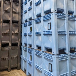 Go Plastic Pallets: Three Years of Strengthening Rotom's Plastic Portfolio